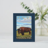 Carte Postale Bison Scene - Parc national des Glaciers, MT (Debout devant)