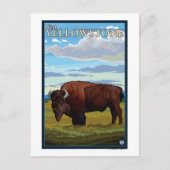 Carte Postale Bison Scene - West Yellowstone, Montana (Devant)