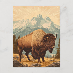 Carte Postale Bison Vintage
