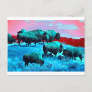 Carte Postale Bisons