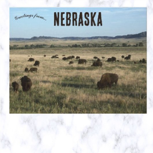 Carte Postale Bisons dans le Nebraska