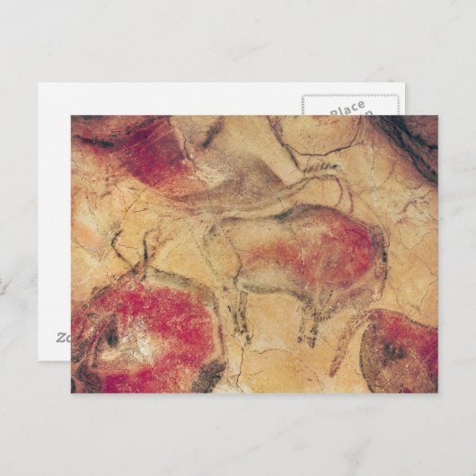 Carte Postale Bisons, des grottes d'Altamira, c.15000 av. (Devant / Derrière)