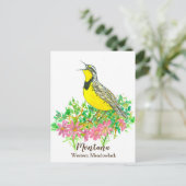 Carte Postale Bitterroot rose Carouge à collier du Montana (Debout devant)