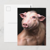 Carte Postale Bizarre hybride cochon humain (Devant / Derrière)