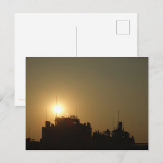 Carte Postale Black against the golden glow of the setting sun.