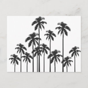 Carte Postale Black and White Exotic Tropical Palm Trees
