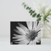 Carte Postale Black and White Flower (Debout devant)