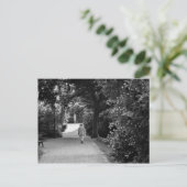 Carte Postale Black and white photo of old man at park (Debout devant)