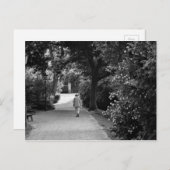 Carte Postale Black and white photo of old man at park (Devant / Derrière)