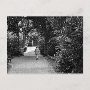 Carte Postale Black and white photo of old man at park