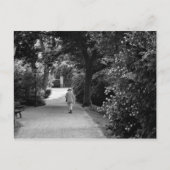 Carte Postale Black and white photo of old man at park (Devant)