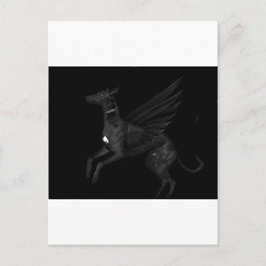Carte Postale Black Angel Greyhound (Devant)
