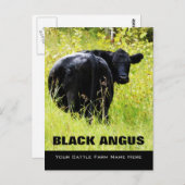 Carte Postale Black Angus Steer - Ajouter Votre Nom De Ranch De  (Devant / Derrière)