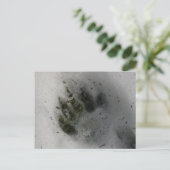 Carte Postale Black Bear Paw (Debout devant)