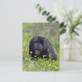 Carte postale Black Bear Wildlife (Debout devant)