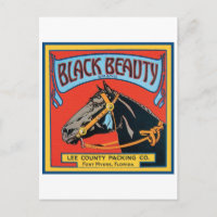 Black Beauty Vintage Crate Étiquette - Cheval