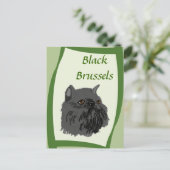 Carte Postale Black Brussels Griffon (Debout devant)