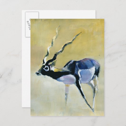 Carte Postale Black Buck Velavadar 1997 (Devant / Derrière)