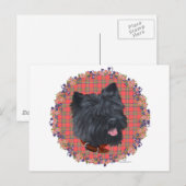 Carte Postale Black Cairn Head Study (Devant / Derrière)