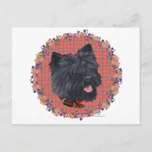 Carte Postale Black Cairn Head Study