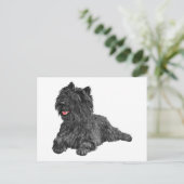 Carte Postale Black Cairn Terrier (Debout devant)