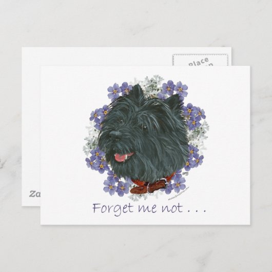 Carte Postale Black Cairn Terrier Oubliez-moi-pas (Devant / Derrière)