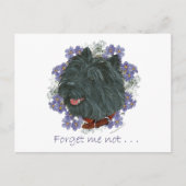 Carte Postale Black Cairn Terrier Oubliez-moi-pas (Devant)