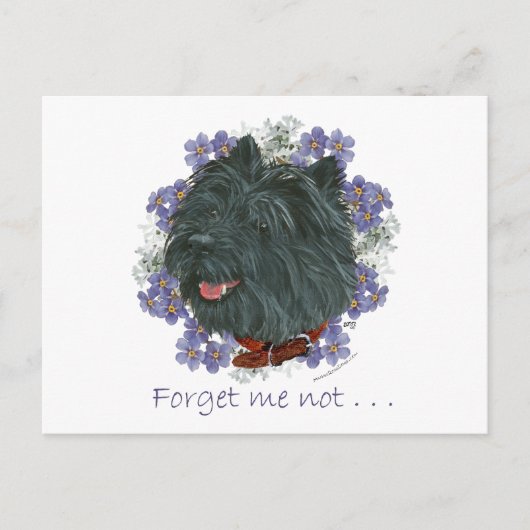 Carte Postale Black Cairn Terrier Oubliez-moi-pas (Devant)