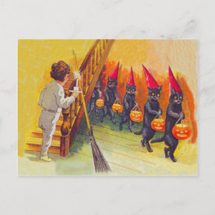 Carte Postale Black Cat Jack O Lanter Citrouille Salle
