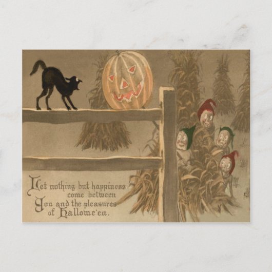 Carte Postale Black Cat Jack-o'-lantern Citrouille Haystack (Devant)