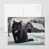 Carte Postale Black Cat Série 2 02 (Devant / Derrière)