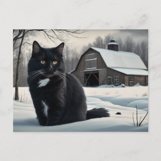 Carte Postale Black Cat Série 2 02 (Devant)