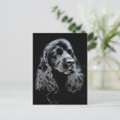 Carte Postale Black Cocker Spaniel (Debout devant)