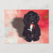 Carte Postale Black Cocker Spaniel Puppy - Abby (Devant)