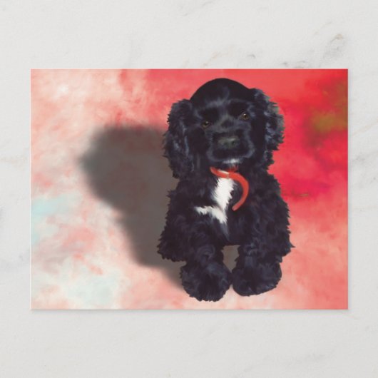 Carte Postale Black Cocker Spaniel Puppy - Abby (Devant)