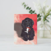 Carte Postale Black Cocker Spaniel Puppy - Abby (Debout devant)