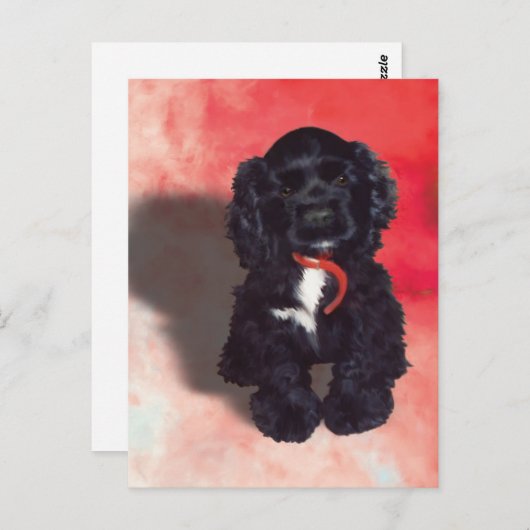 Carte Postale Black Cocker Spaniel Puppy - Abby (Devant / Derrière)