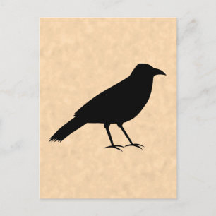 Carte Postale Black Crow Bird sur un Motif de parchemin.