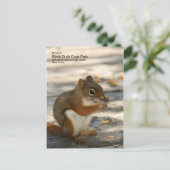 Carte Postale Black Duck Cove Park (Debout devant)