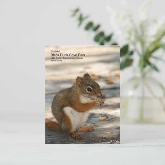 Carte Postale Black Duck Cove Park (Debout devant)