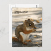 Carte Postale Black Duck Cove Park (Devant / Derrière)