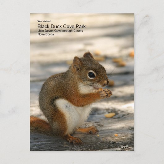 Carte Postale Black Duck Cove Park (Devant)