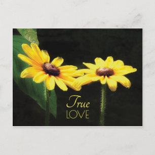 Carte Postale Black Eyed Susan True Love Quote