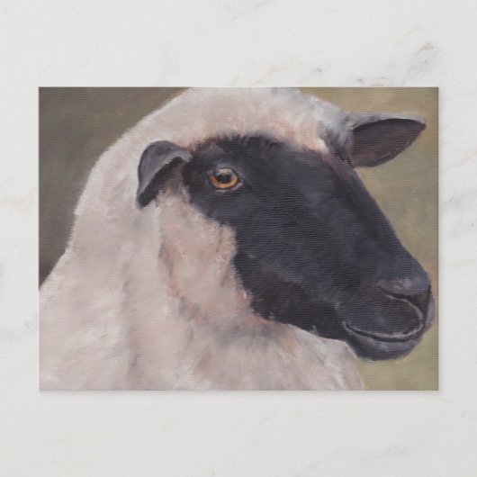 Carte postale Black Face Sheep Art (Devant)