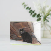 Carte Postale Black foster (Debout devant)