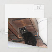 Carte Postale Black foster (Devant / Derrière)