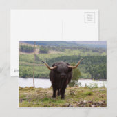 Carte Postale Black Highland, Écosse (Devant / Derrière)