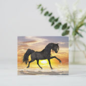 Carte postale Black Horse (Debout devant)
