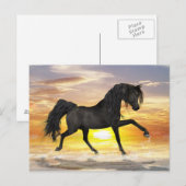 Carte postale Black Horse (Devant / Derrière)