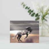 Carte Postale Black Horse Sandy Beach Océan Poste (Debout devant)